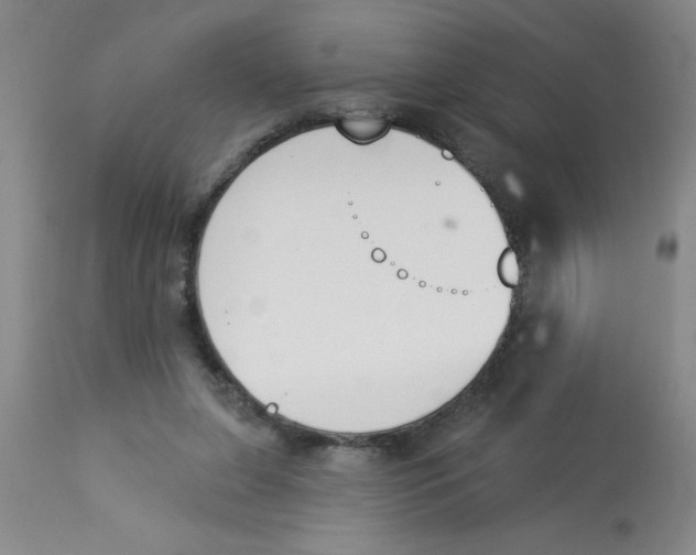 X0000112840255200909181719