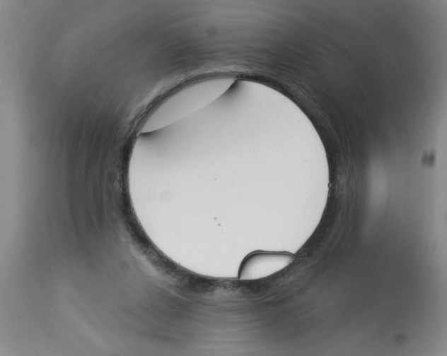 X0000112840256200909181719