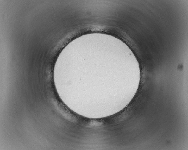 X0000112840257200909181719