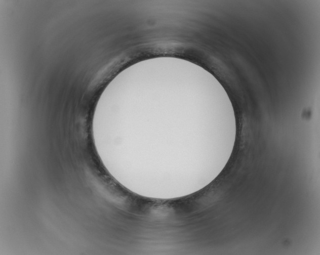 X0000112840258200909181719