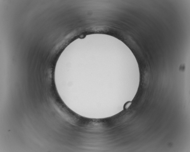 X0000112840260200909181719