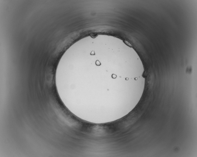 X0000112840261200909181719