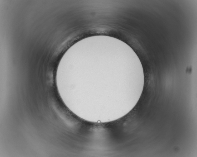 X0000112840262200909181719