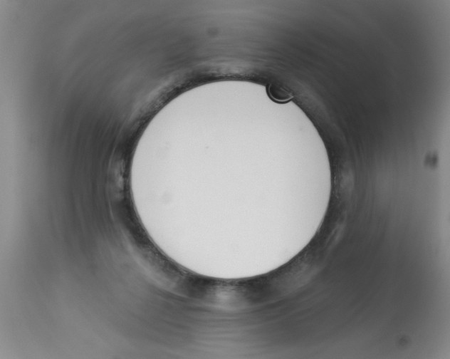 X0000112840264200909181720