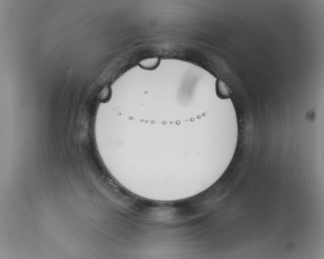 X0000112840266200909181720