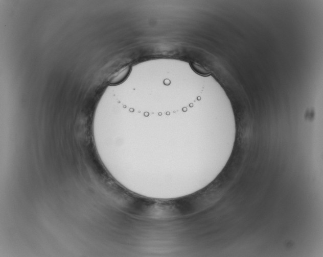 X0000112840270200909181720