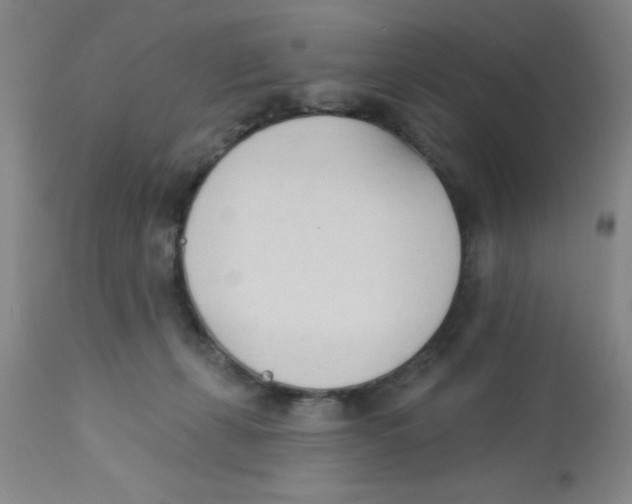 X0000112840271200909181720