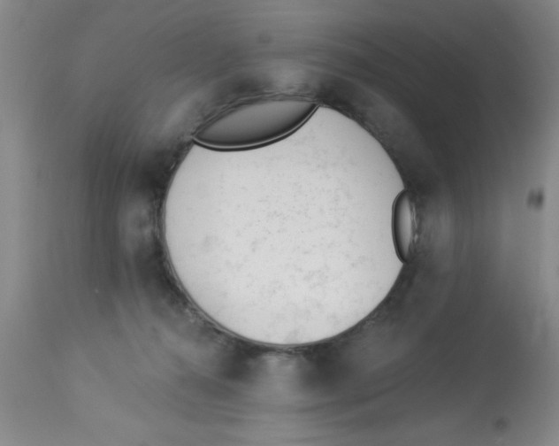 X0000112840272200909181720