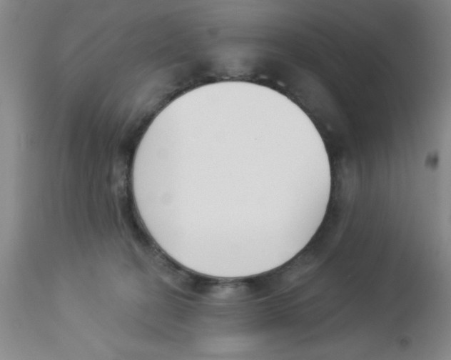 X0000112840274200909181720