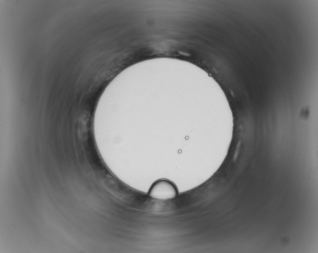 X0000112840275200909181720