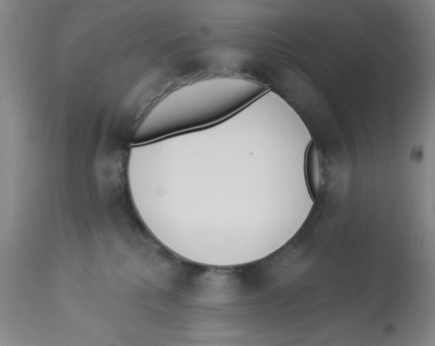 X0000112840280200909181720