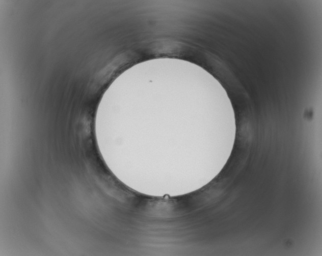 X0000112840282200909181720