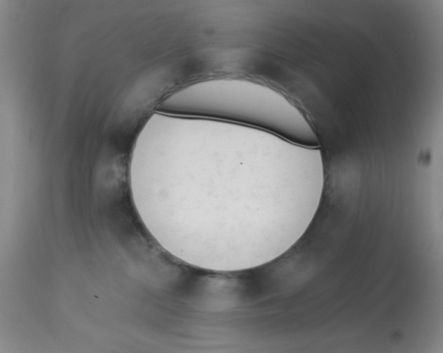 X0000112840284200909181720