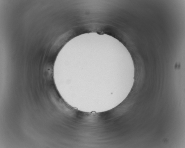 X0000112840288200909181720