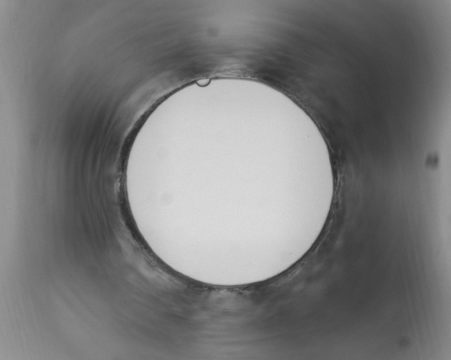 X0000112840290200909181719