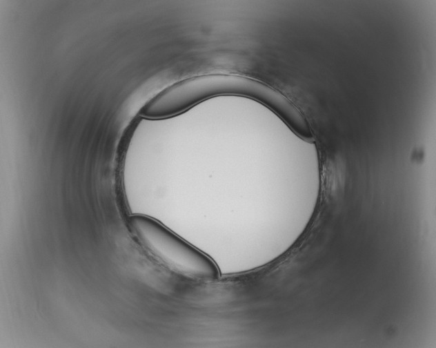 X0000112840292200909181719