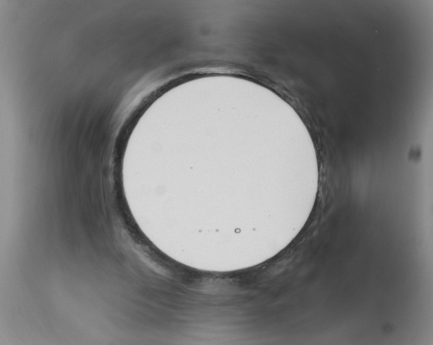 X0000112840296200909181719