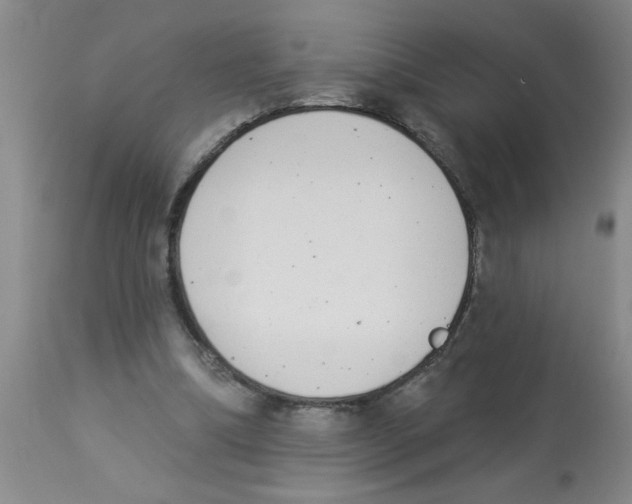 X0000112840298200909181719