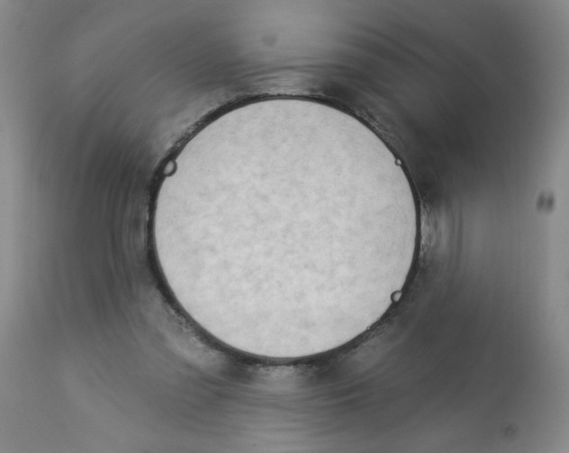 X0000112840301200909181719