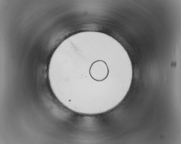 X0000112840302200909181719