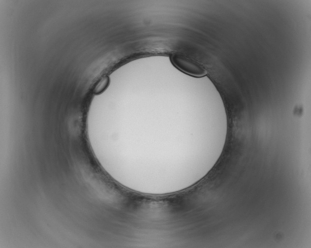 X0000112840304200909181719