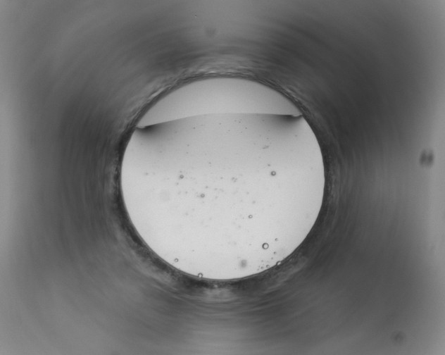 X0000112840309200909181719