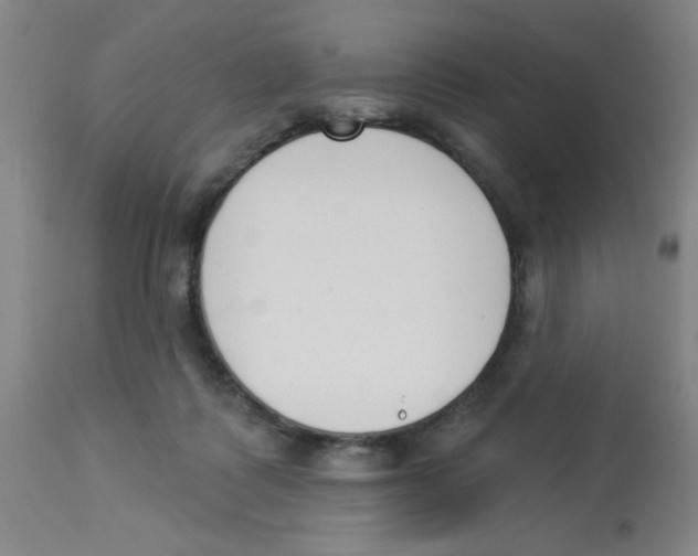 X0000112840315200909181719