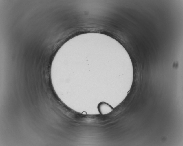 X0000112840317200909181719