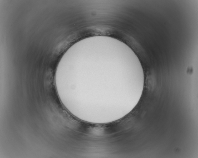 X0000112840318200909181719