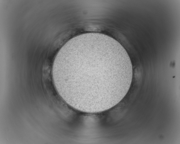 X0000112840322200909181719