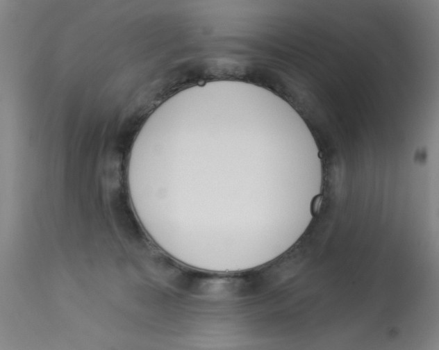 X0000112840323200909181719