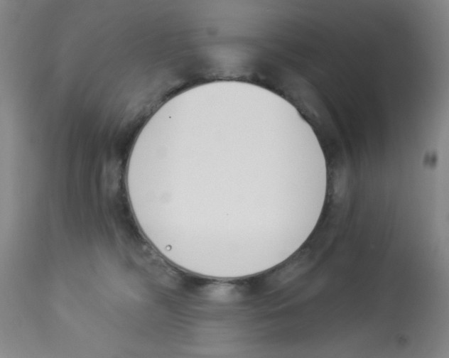 X0000112840326200909181719