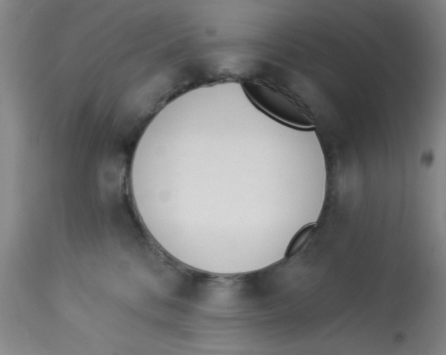 X0000112840328200909181718