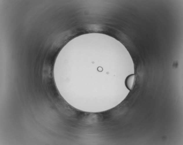 X0000112840330200909181718