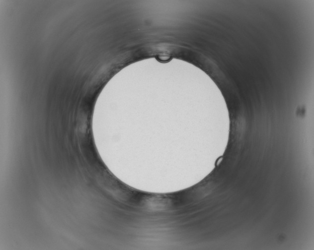 X0000112840331200909181718