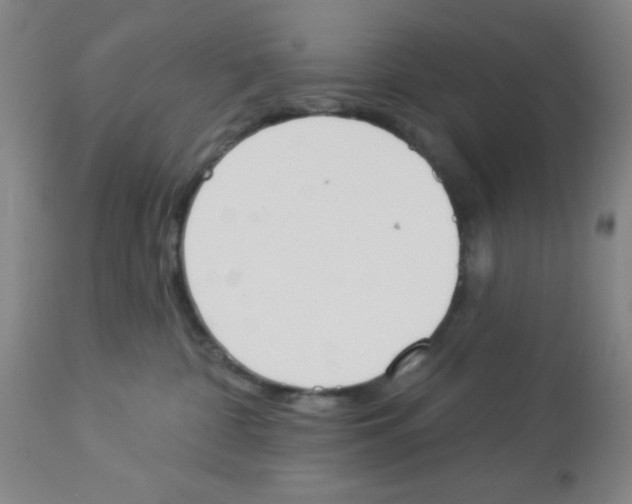 X0000112840332200909181718