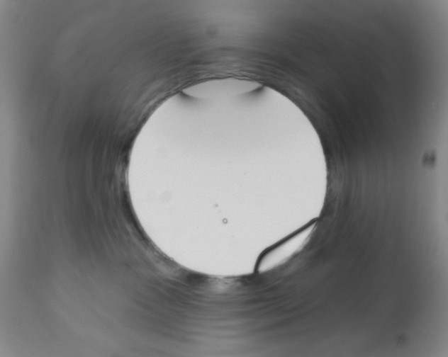 X0000112840333200909181718