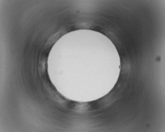 X0000112840334200909181718