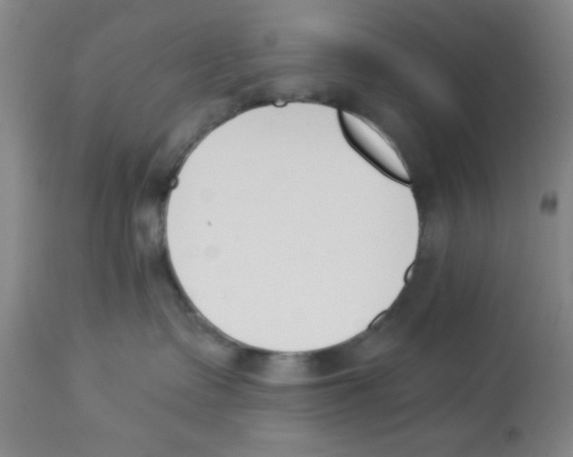 X0000112840335200909181718