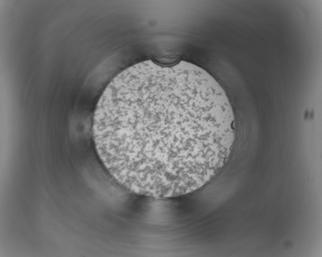 X0000112840336200909181718