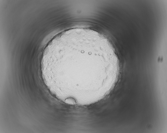 X0000112840337200909181718