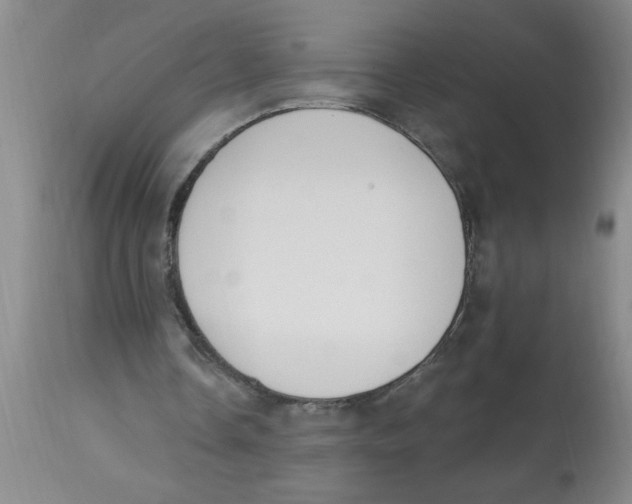 X0000112840338200909181718