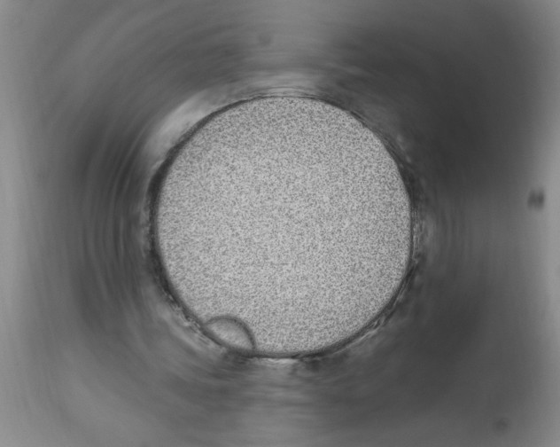 X0000112840339200909181718