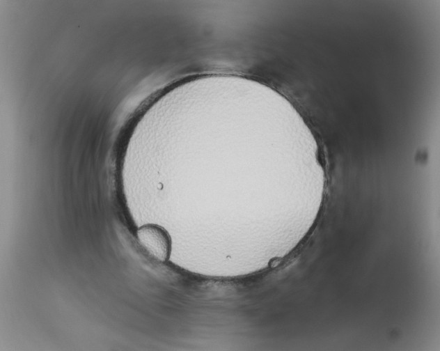 X0000112840343200909181718