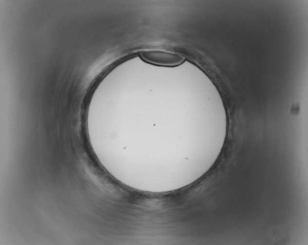 X0000112840344200909181718