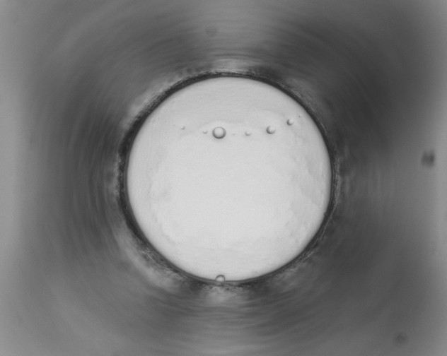 X0000112840346200909181718