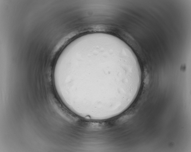 X0000112840347200909181718