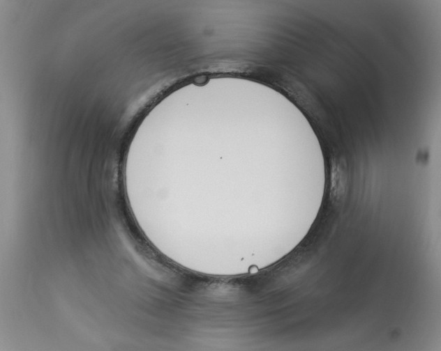 X0000112840348200909181718