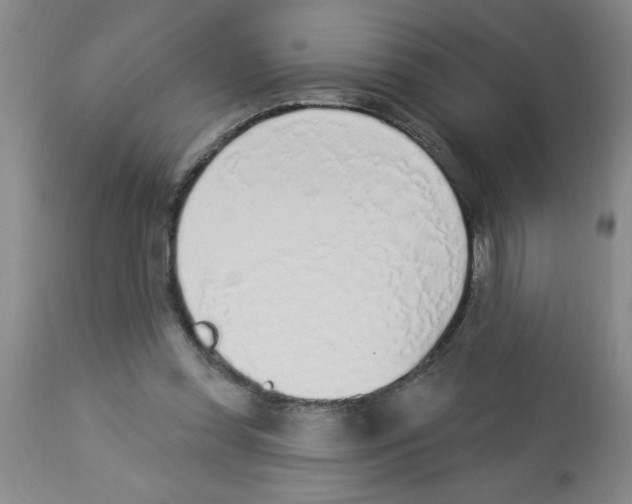 X0000112840349200909181718