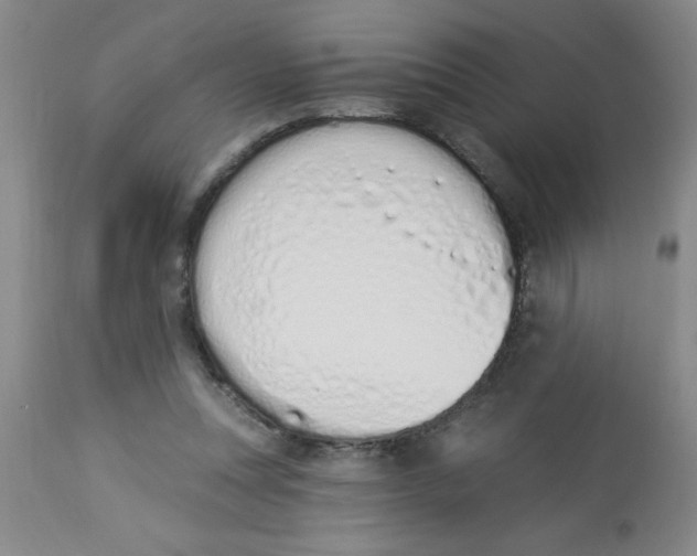 X0000112840351200909181718